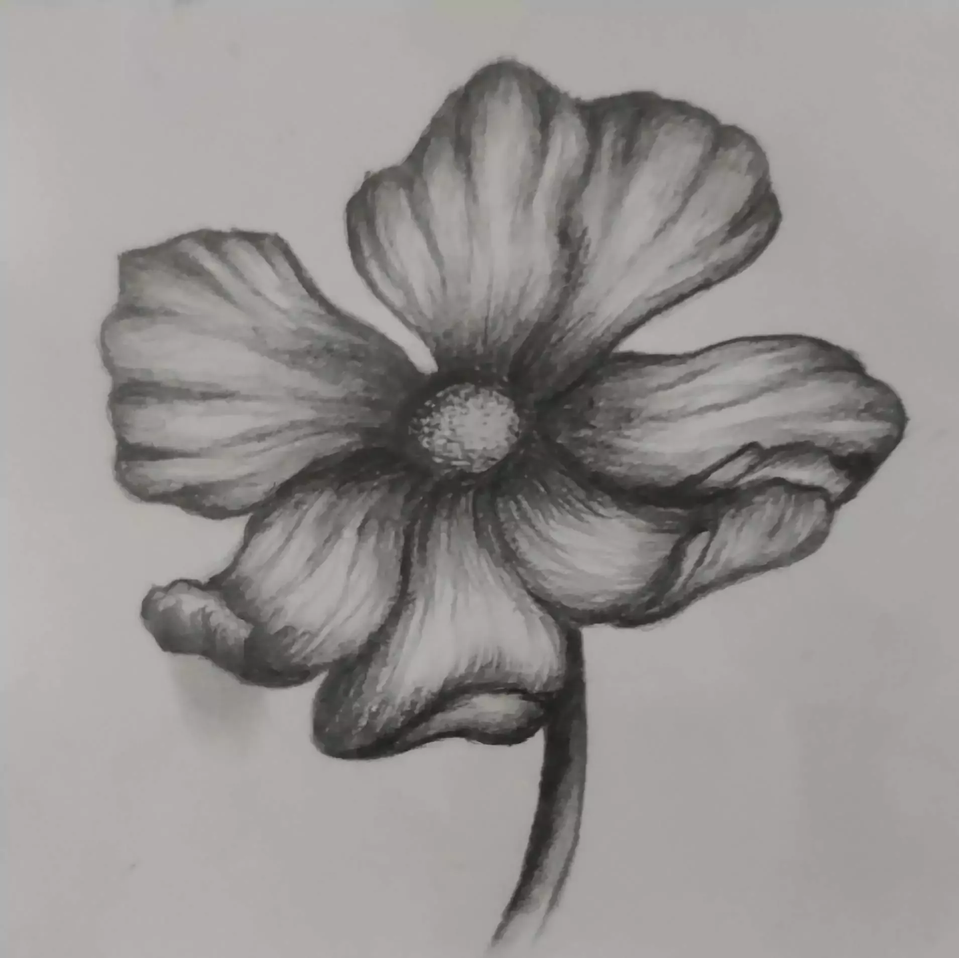Pollen, artwork by Narvitaa